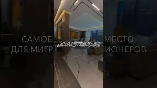 КУДА ПЕРЕЕЗЖАЮТ МИЛЛИОНЕРЫ? Бесплатный вебинар по зарубежной недвижимости! Ссылка в описании канала!