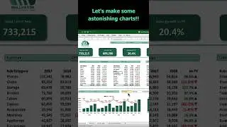 Excel Interactive Dashboard 