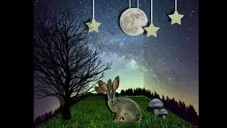3D Rabbit greeting card - Create a digital diorama - Photoshop Manipulation Tutorial #8
