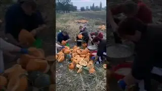 Сбор семян 💪🏻🔥🔪