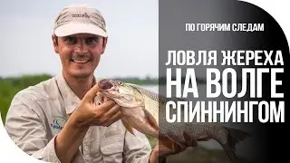 По горячим следам. Ловля жереха на Волге спиннингом [FishMasta.ru]