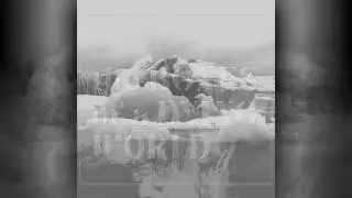 One Sky Above Us - If These Trees Could Talk