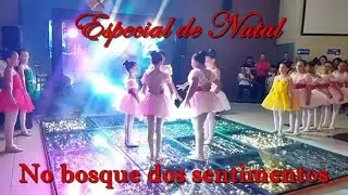 Apresentação de Natal no shopping Cidade Luz - No bosque dos sentimentos
