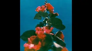 [FREE] Indie Rock x Bedroom Pop Type Beat - 