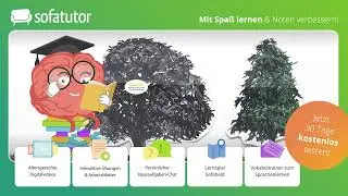 Ökologische Potenz Erklärung – Definition & Beispiele