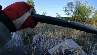 lucky shot on bream