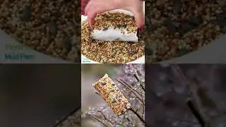 Toilet Paper Roll Bird Feeder | Bird feeders for kids to make, Bird feeder craft | 화장지 롤 버드 피더