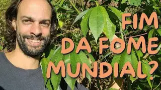 10 Plantas que Podem Acabar com a Fome no Mundo