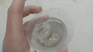 CRAB GO 🦀