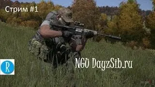 RaritStream 