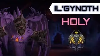 Mythic Il'gynoth  - Holy Paladin POV - Ny'alotha
