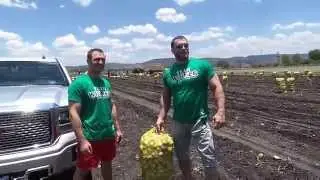 Dmitry Klokov & Igor Zaripov - 