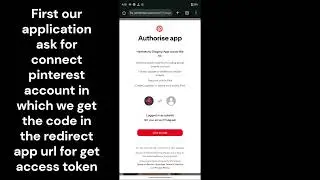 Pinterest API Access Token Failure: Error Code 29 Demo