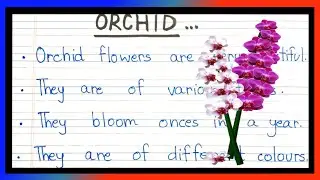 Short essay on orchid flower | few lines on orchid flower in english | orchid flower
