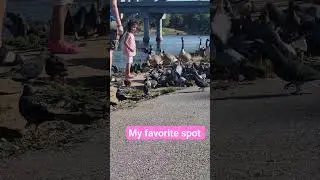 Happy place #lake #toddler #ducks #happy #cutiepie #angel