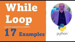 Python While Loop 17 Examples - Spring 2024