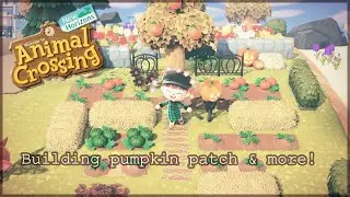 BUILDING PUMPKIN PATCH & MORE | ANIMAL CROSSING NEW HORIZONS - Streamed Oct.19th