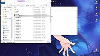How to use locale emulator on visuals novel