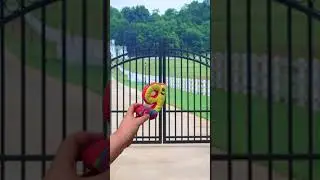 Lowercase Letter G Standing in the Gate