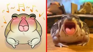 Compilation of the Cutest Animals 🐶🐱 Funny Animal Memes