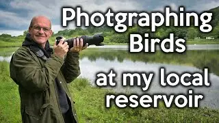 Photographing Birds at my local reservoir with my Nikon Z8