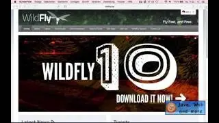 WebSocket Tutorial: 1) Wildfly 10 einrichten
