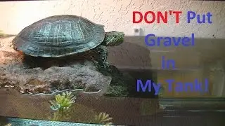 Don't Use Gravel For You Turtle Tank.  Gravel can kill your turtle.