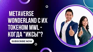 Разбор проекта Metaverse Wonderland, и ему подобных, когда "иксы" и стоит ли их вовсе ждать?