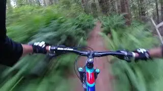 Siltcoos Lake MTB Trail (Florence)