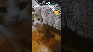 Скромный апгрейд😊