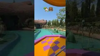 Хотели бы побывать там?🏡🐻