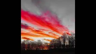 [FREE] Jeff Buckley x Harry Styles x Indie Rock Type Beat - 