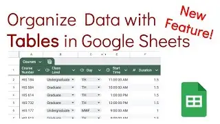 Google Sheets: Tables to Organize Data (New Feature!)