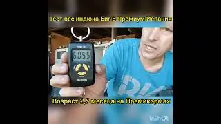 вес индейки Биг 6 в 2,5 месяца на Премикорме.