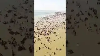 একটু মাটির খুঁজে পানিতে দাড়িয়ে আছে মানুষ #shortsfeed