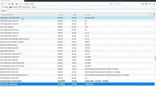 Mozilla Firefox Türkçe Yapma