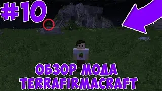 Обзор мода TerraFirmaCraft - новая генерация мира
