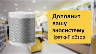 Xiaomi Mi Smart Speaker Обзор и отзыв от НОУ-ХАУ.