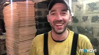 Разборка и замена рем комплекта газовых форсунок OMVL, проверка мембраны газового редуктора