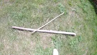 Beaver facts you did not know