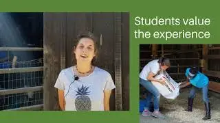 Sanctuary One Service Learning with Central Medford High