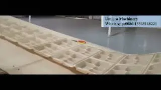 Degradable starch straw lunch box machine customer factory installation commissioning training #degr