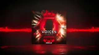 MAPE - Voices