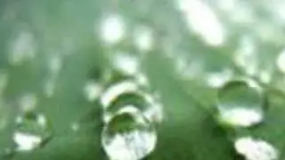 如果-邰肇玫 施碧梧