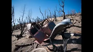 Creek Fire Aftermath