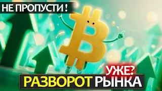 Has the crypto market really turned around right now, and who has been holding it back all this t...