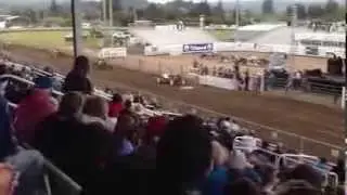 Pig and Ford Race at Tillamook County Fair, 2013