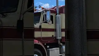 Peterbilt Moving