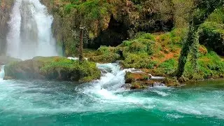 30 Minute Relaxing Music For Sleep And Meditation.