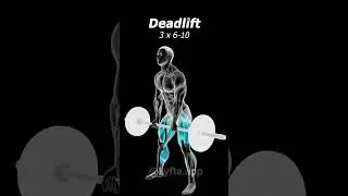 PUSH/PULL/LEGS DAY 3: (Arnold Leg Day)